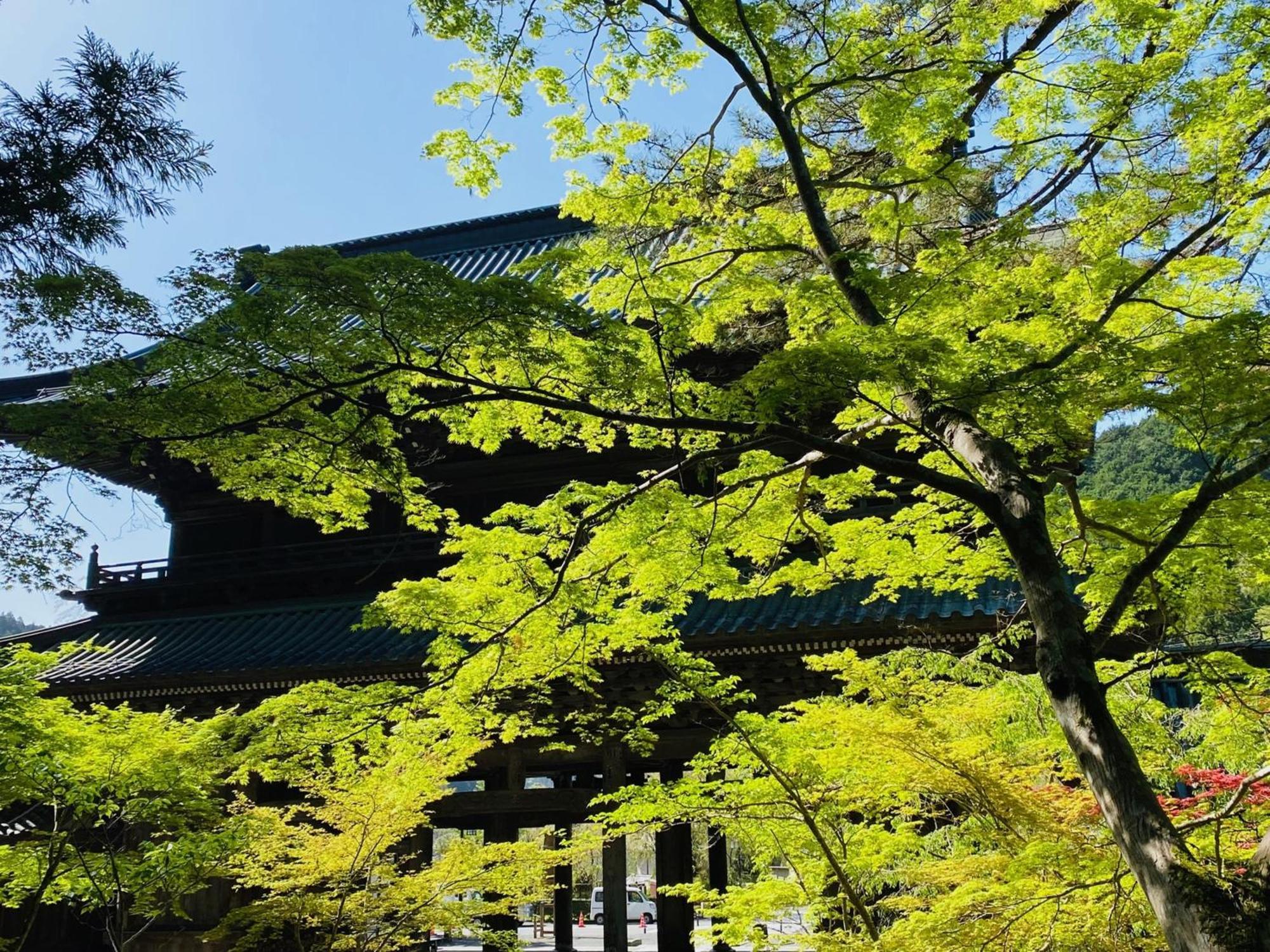 Ryokan Tanakaya Minobu Kültér fotó