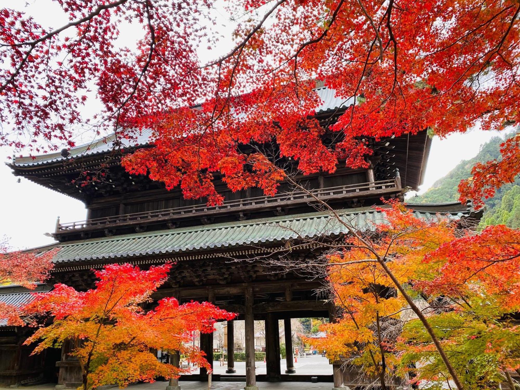 Ryokan Tanakaya Minobu Kültér fotó
