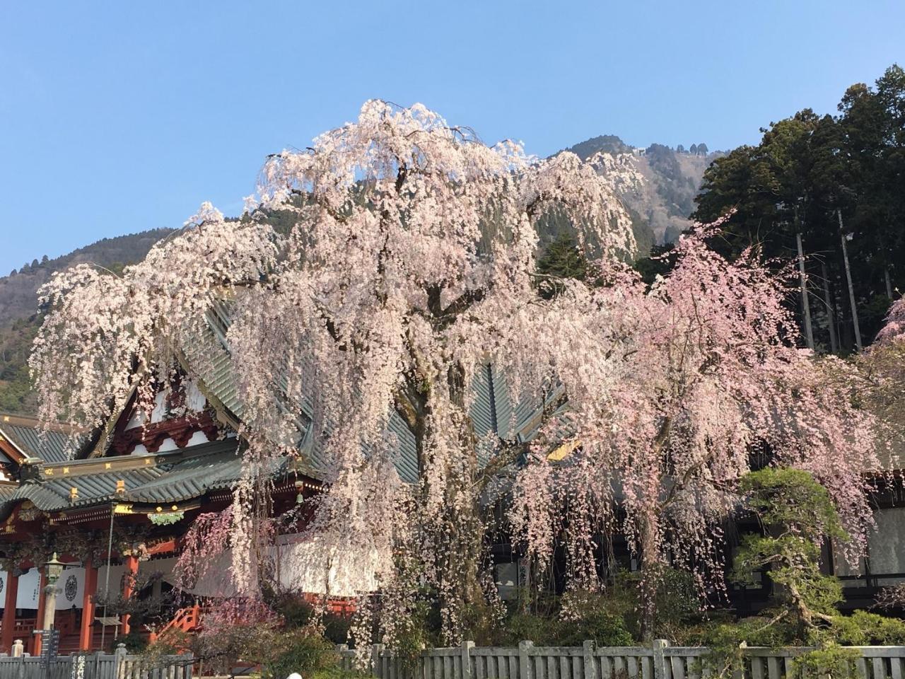 Ryokan Tanakaya Minobu Kültér fotó