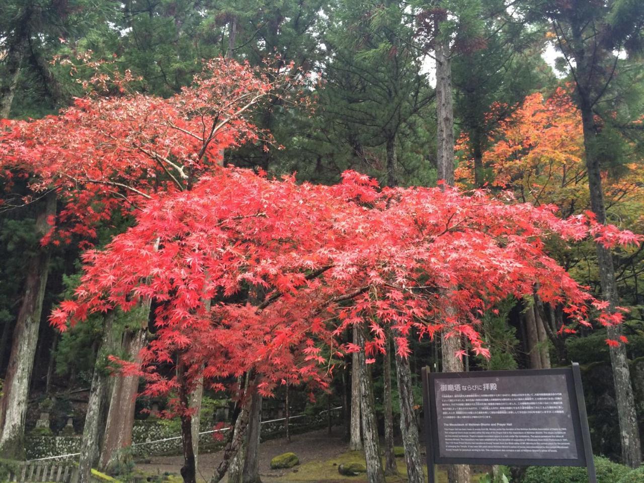 Ryokan Tanakaya Minobu Kültér fotó